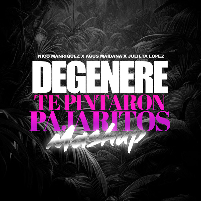 Degenere Vs Te Pintaron Pajaritos - Remix