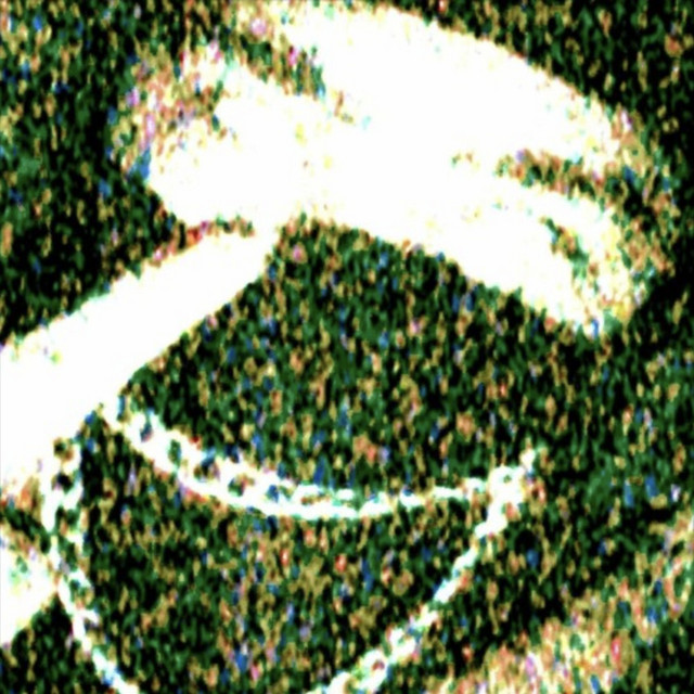 spineless cover art