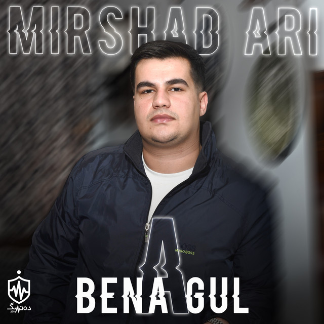 A Bena Gull cover art