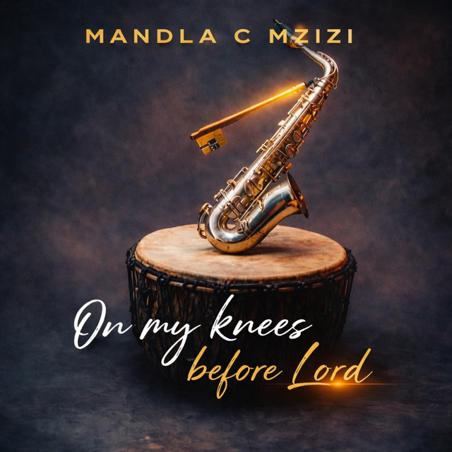 Mandla C Mzizi