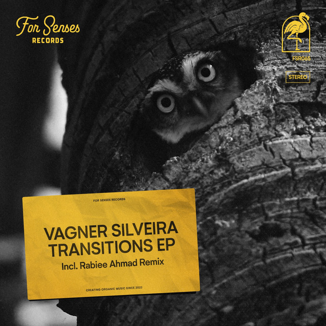Transitions cover art