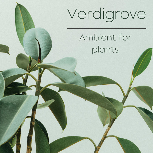 Verdigrove