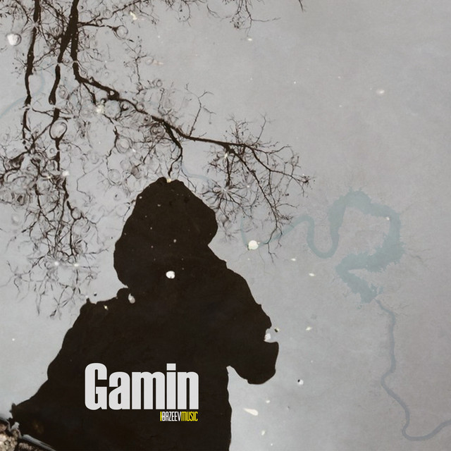 Обкладинка: Gamin - Radio Edit — Taras Bazeev