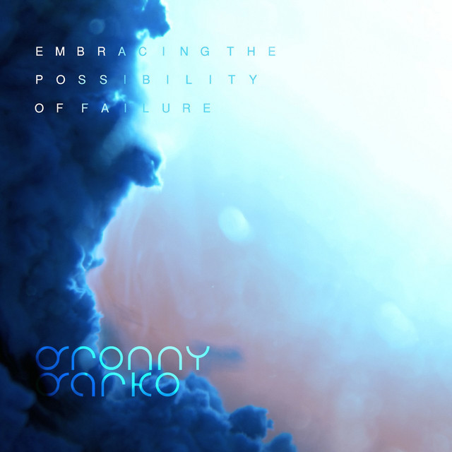 Embracing The Possibility Of Failure cover art