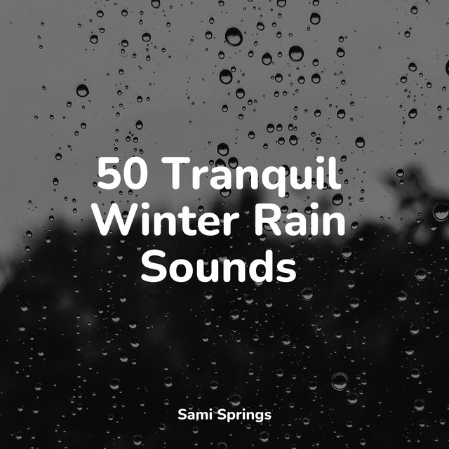50 Tranquil Winter Rain Sounds - Album by Lluvia | Spotify