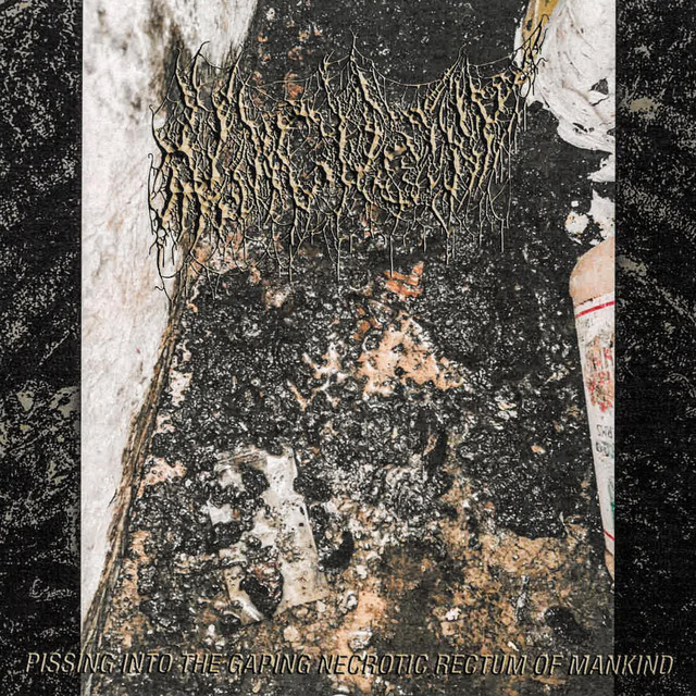 Pissing Into the Gaping Necrotic Rectum of Mankind cover