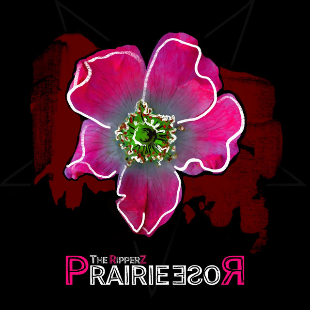Prairie Rose cover