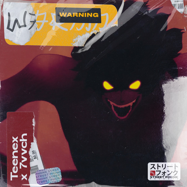 Обкладинка: WARNING — Teenex