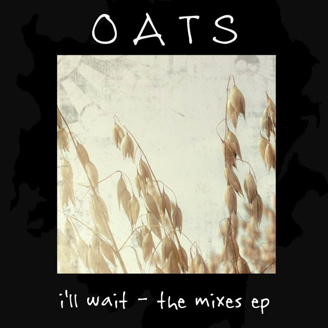 i'll wait cover art