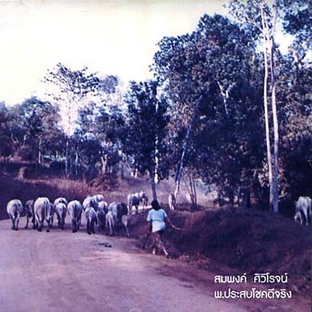สมพงค์ ศิวิโรจน์