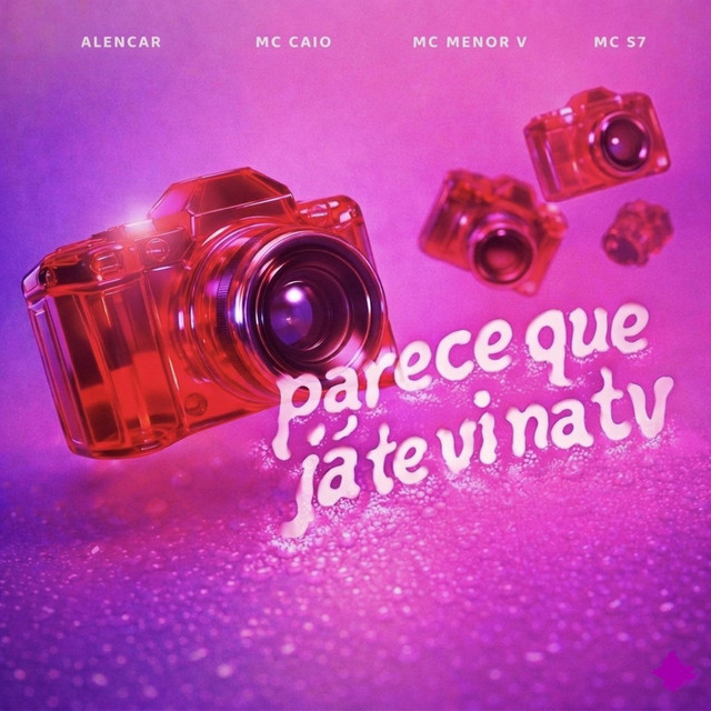 PARECE QUE JÁ TE VI NA TV