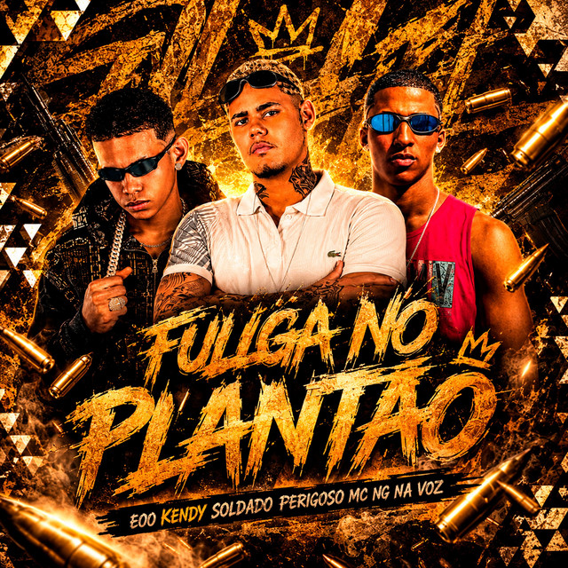Fulga no Plantão