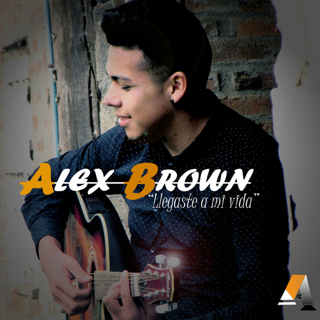 Llegaste a Mi Vida cover art