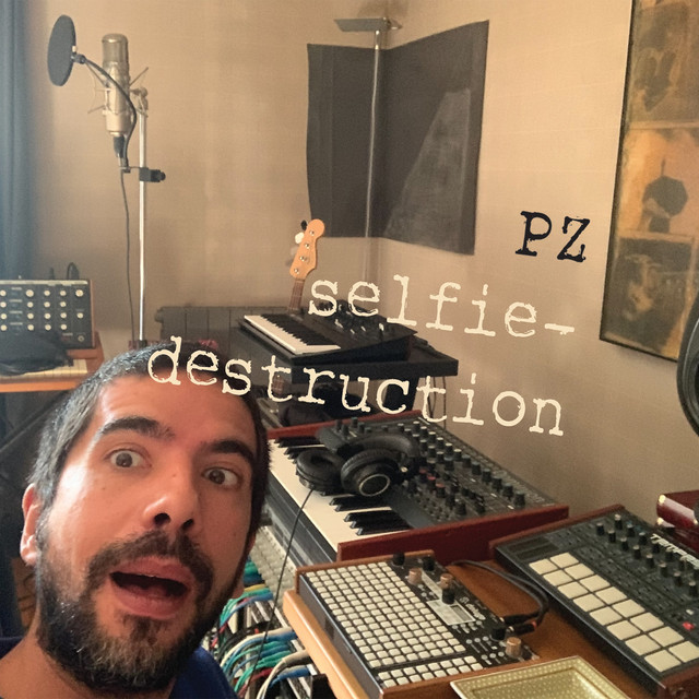 Selfie-Destruction cover art