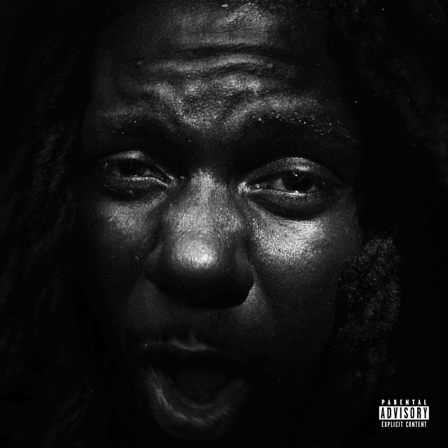 Stigma cover art