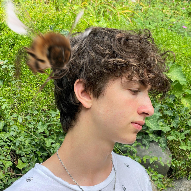 Which Way cover art