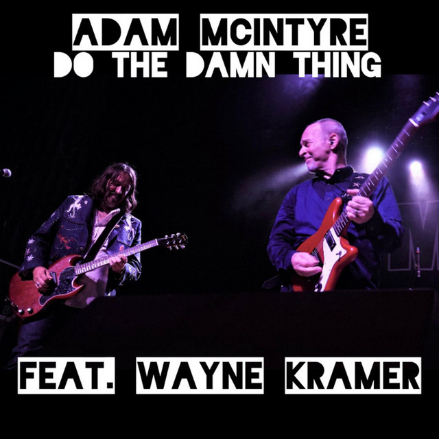 Do the Damn Thing cover