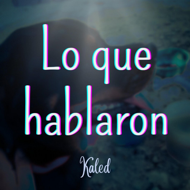 Lo que hablaron cover