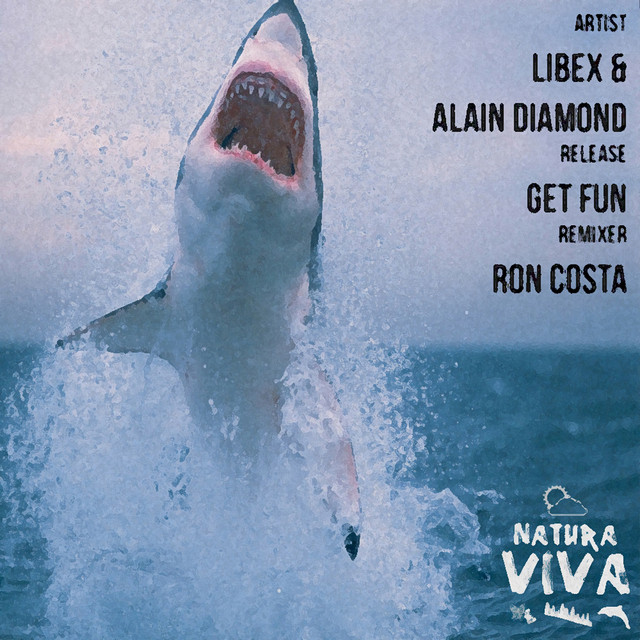 Get Fun - Ron Costa Remix album art