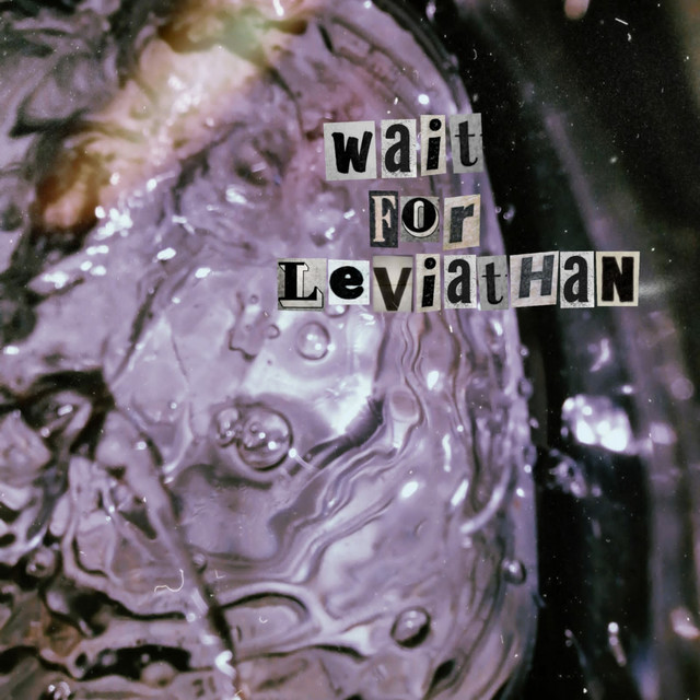 Wait for Leviathan cover art
