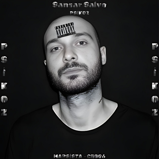 Psikoz cover art