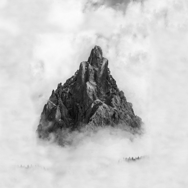 IV cover