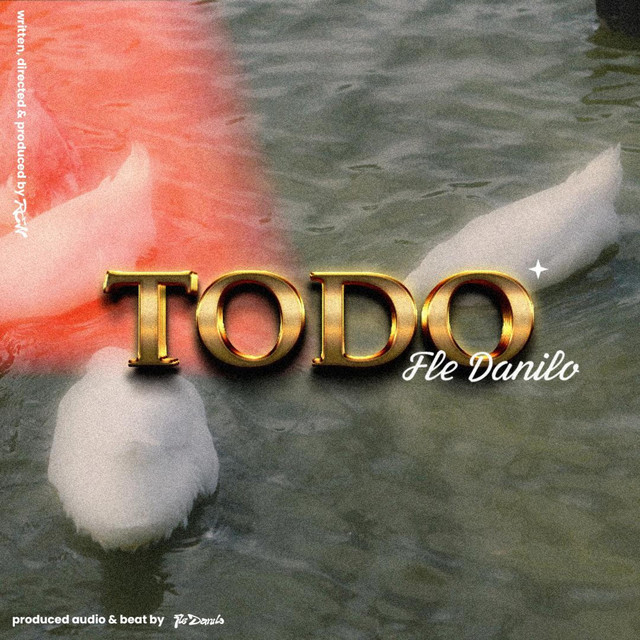 Todo cover art