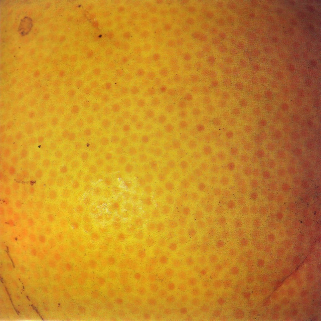 Peel cover art