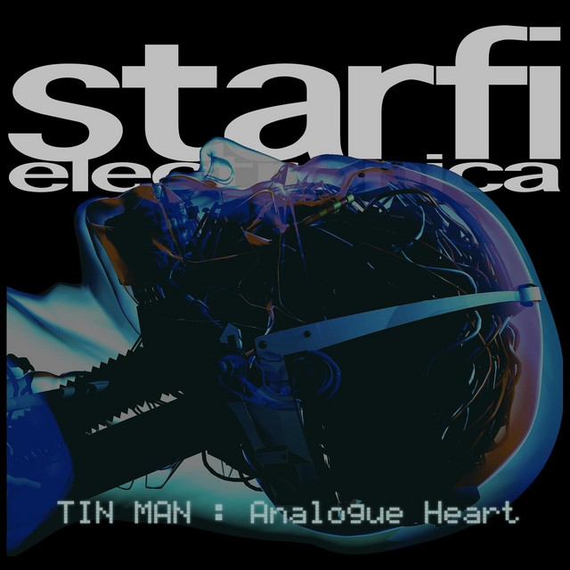 Tin Man : Analogue Heart cover art