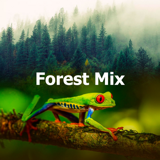 Forest Mix cover art