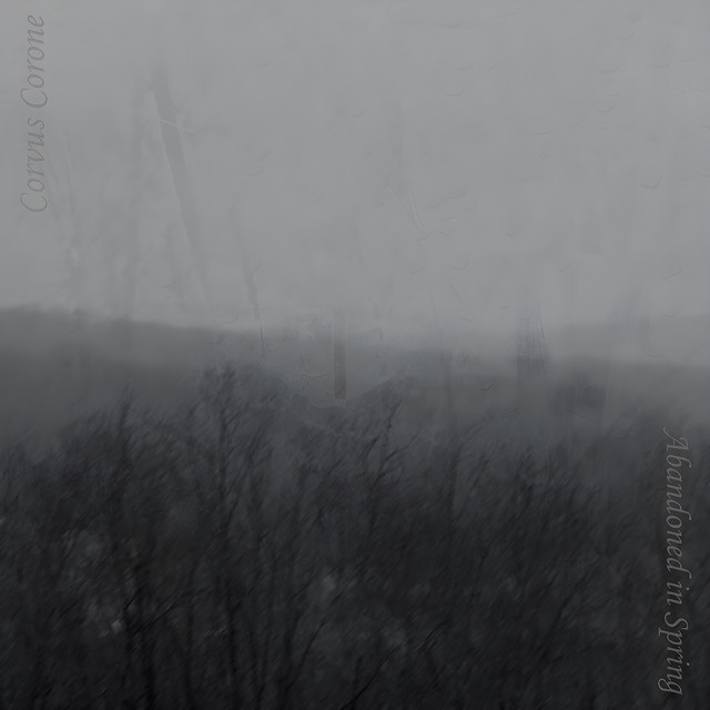 Abandoned in Spring cover art