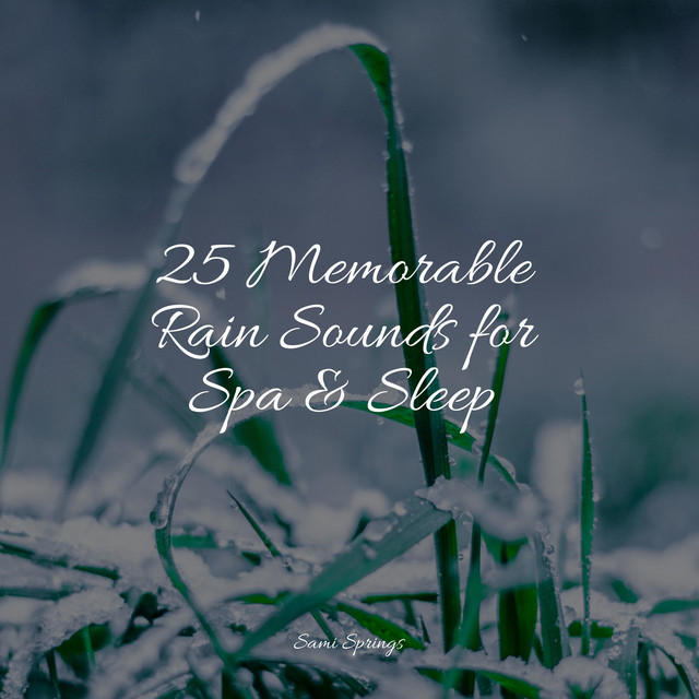 25 Memorable Rain Sounds for Spa & Sleep - Album by The Relaxing Sounds ...