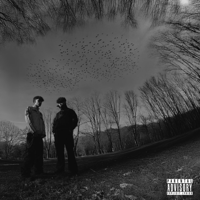 BORING cover art