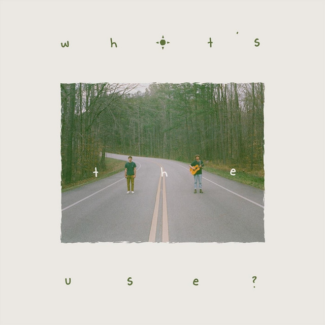 what's the use? cover art