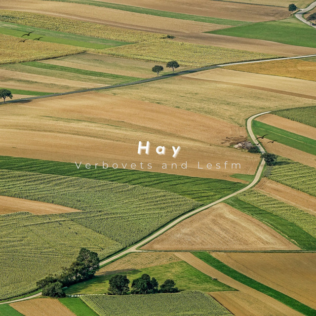 Обкладинка: Hay — Verbovets