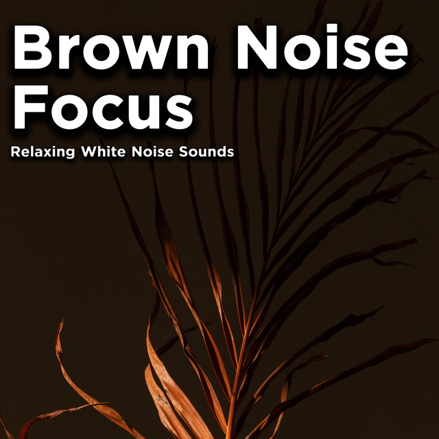 Brown Noise Focus - Album by Relaxing White Noise Sounds | Spotify