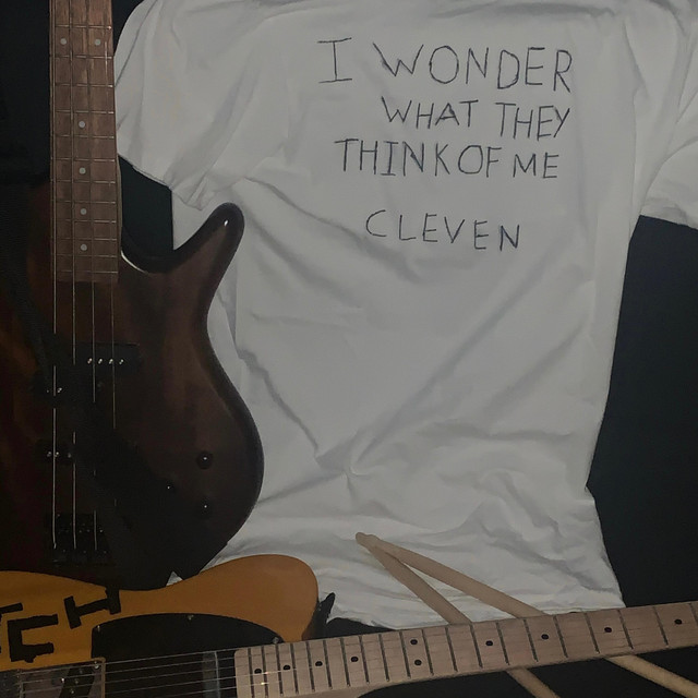 I Wonder What They Think Of Me cover art