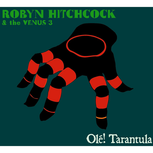 Robyn Hitchcock & The Venus 3 photo