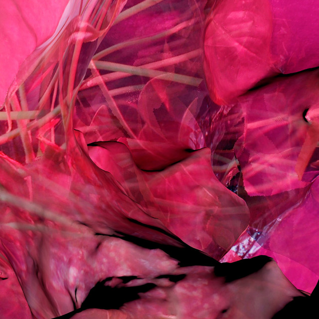 soft tissue cover art