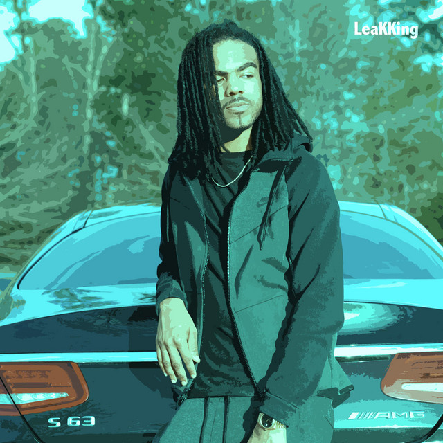 LeakKing cover art