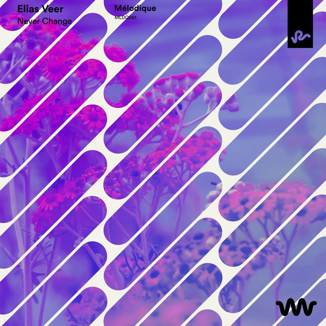 Glasslands (with M.OAK) - Extended Mix album art