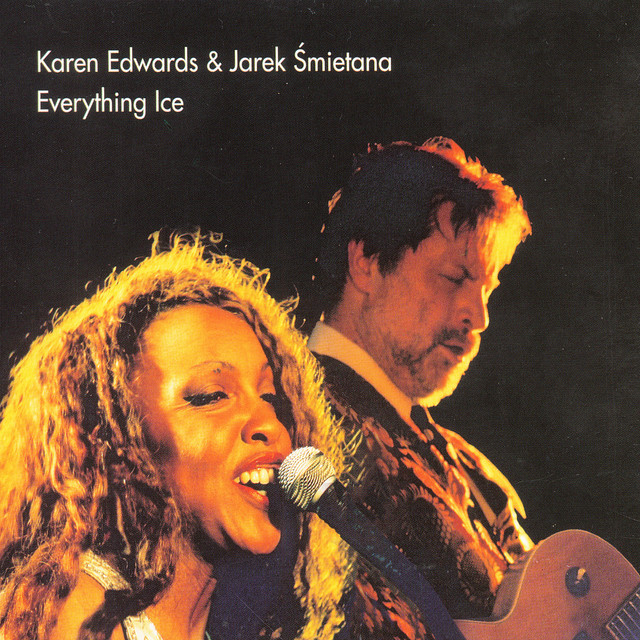 Everything ice cover art