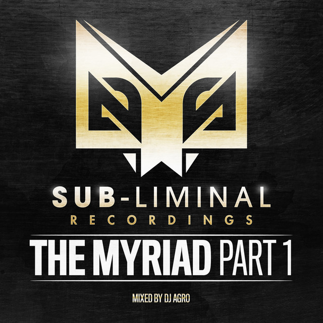 Blazing the Fire - DJ Hybrid VIP