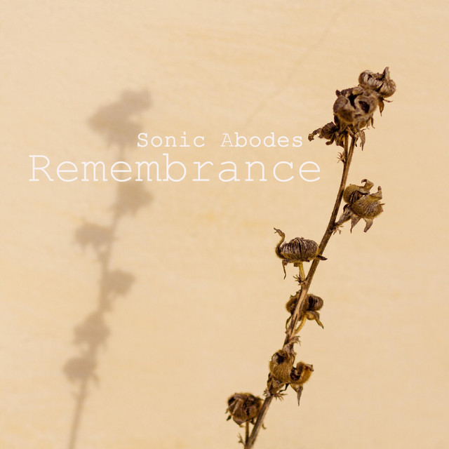 Remembrance cover art