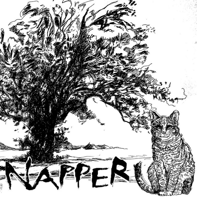 Napper