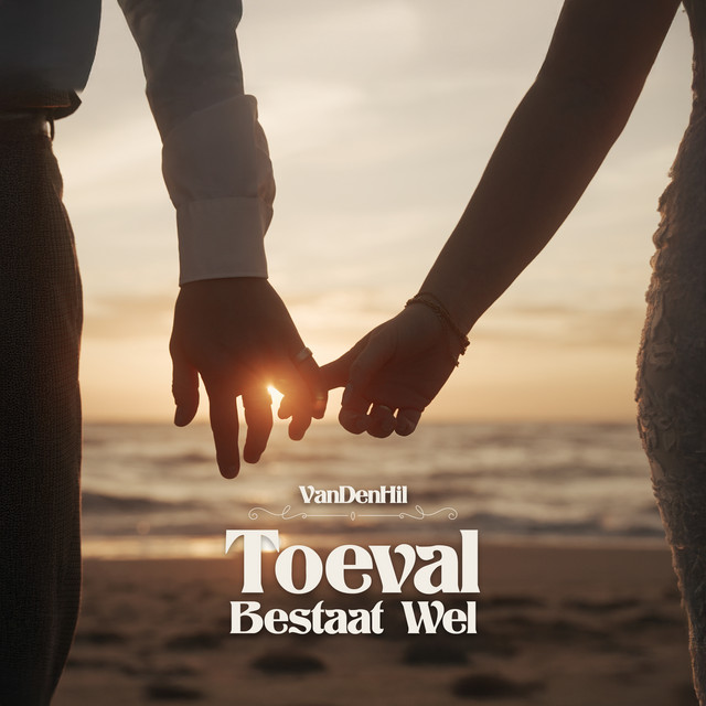 Toeval cover art