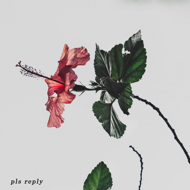 pls reply. cover art