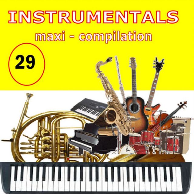 Instrumentals Maxi-Compilation 29 cover