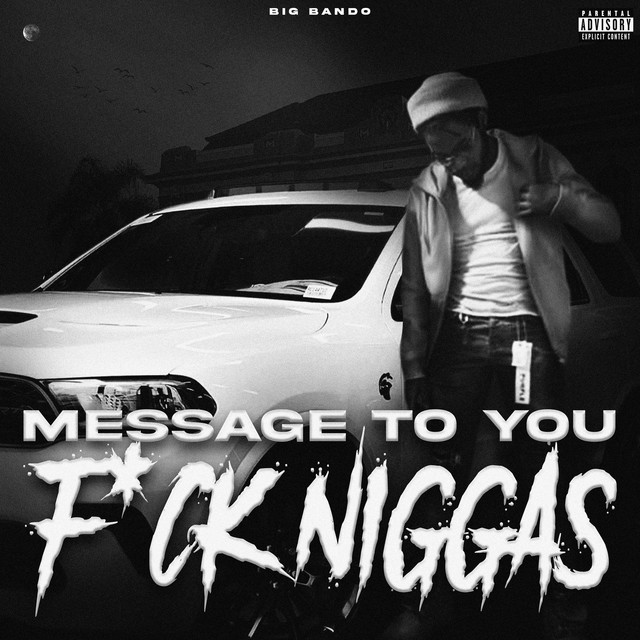 Message to you f*ck niggas cover art