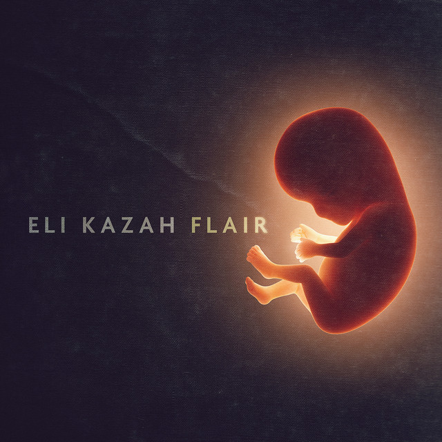 Flair cover